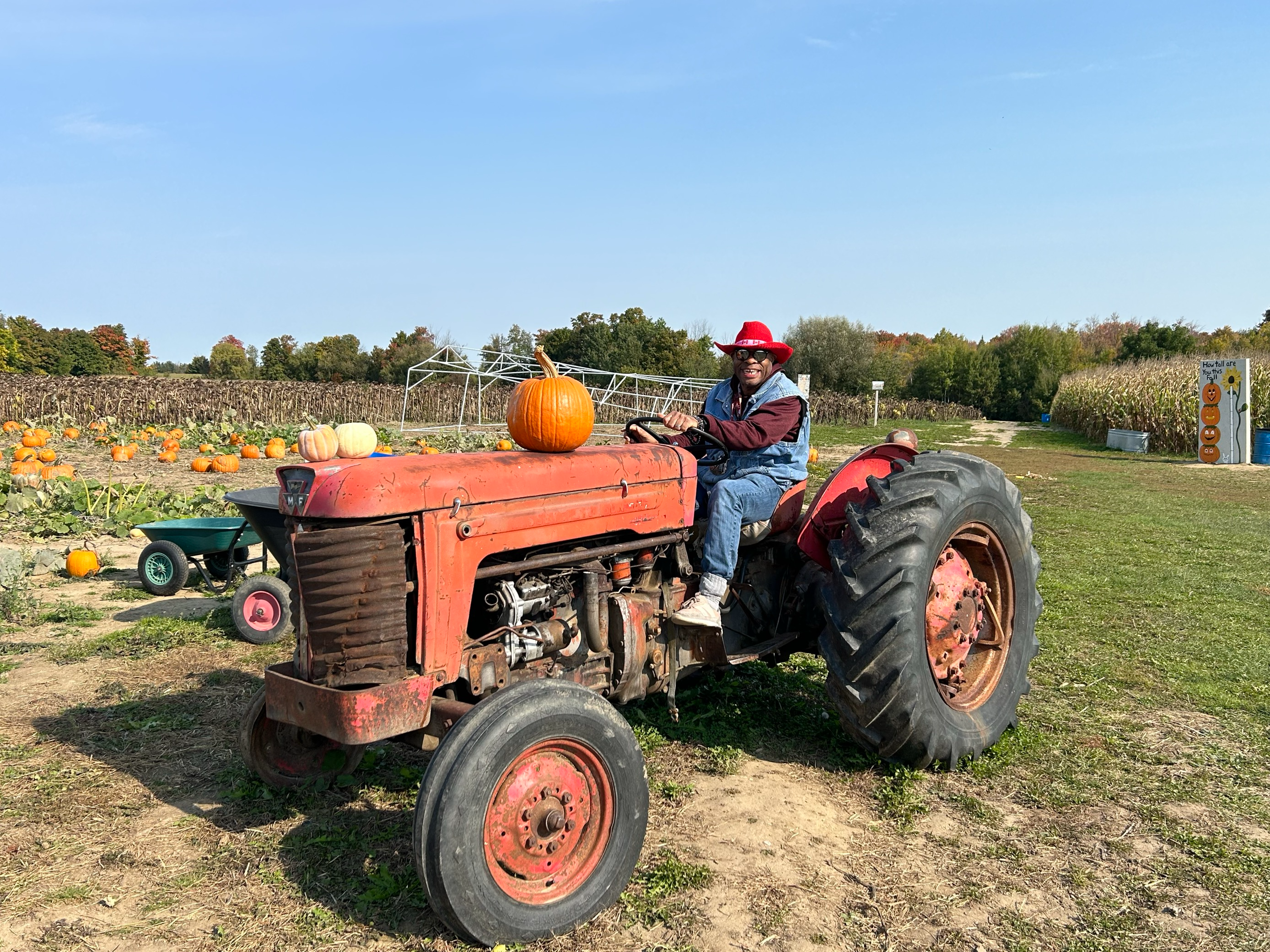 Man on a tractor - trip to farm